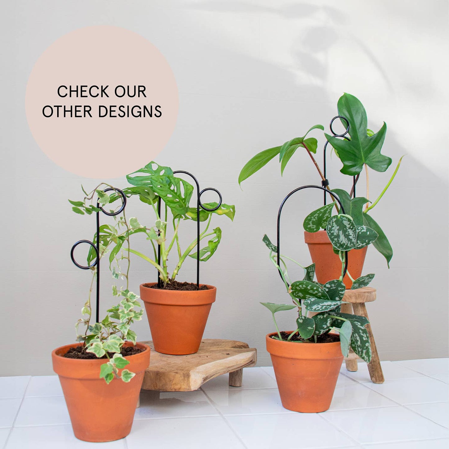 Mini Plant Stake from rust-proof metal - Hoop - Black