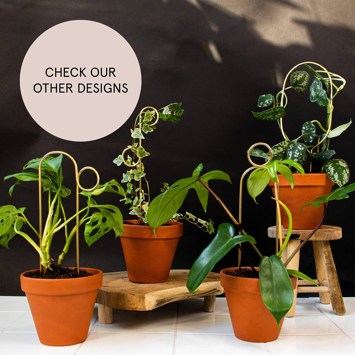 Mini Plant Stake from rust-proof metal - Pompom - Gold