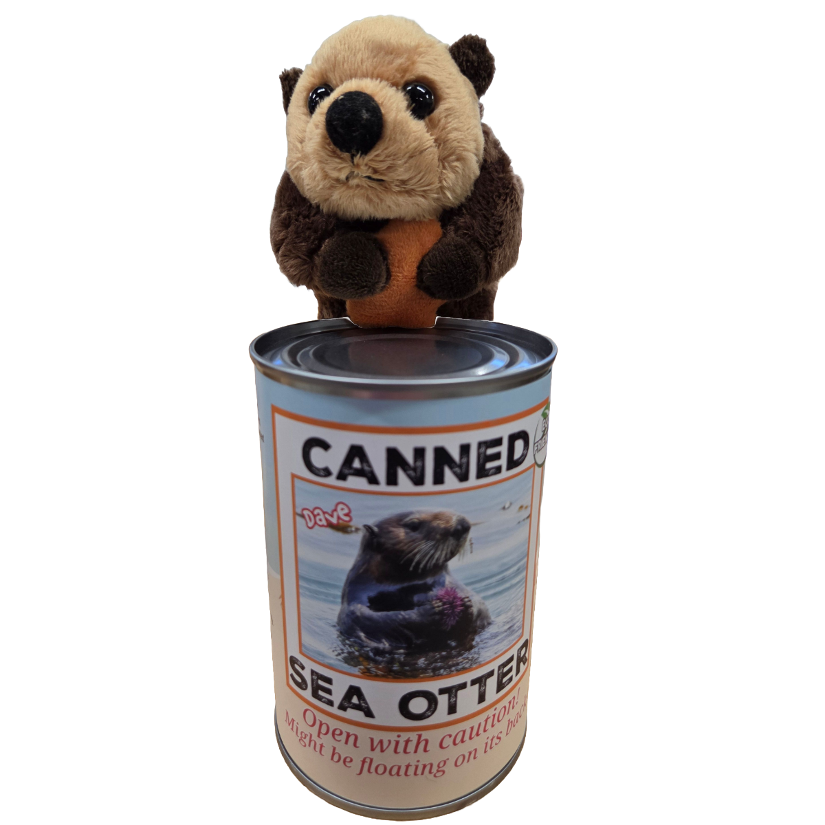 Dave the Canned Sea Otter - Eco-Friendly and Recycled Gift