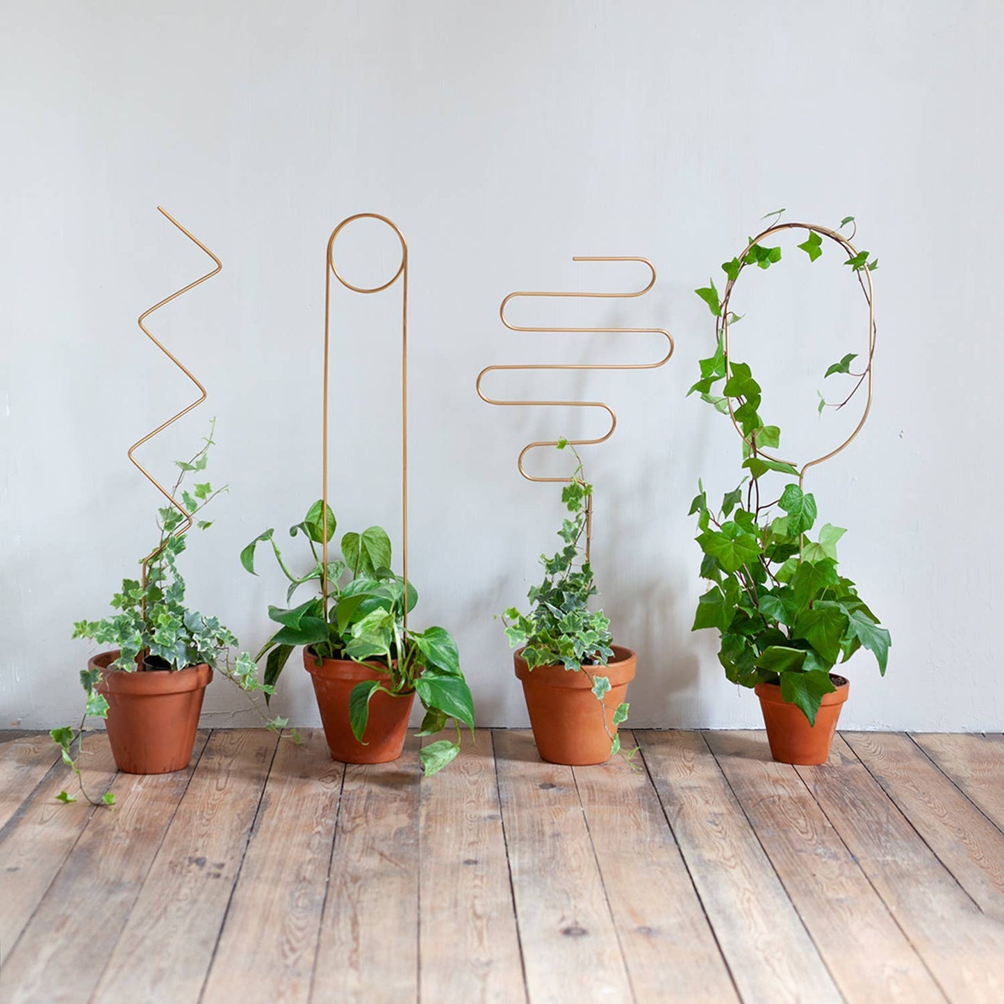 Golden plant stake from metal – Arch