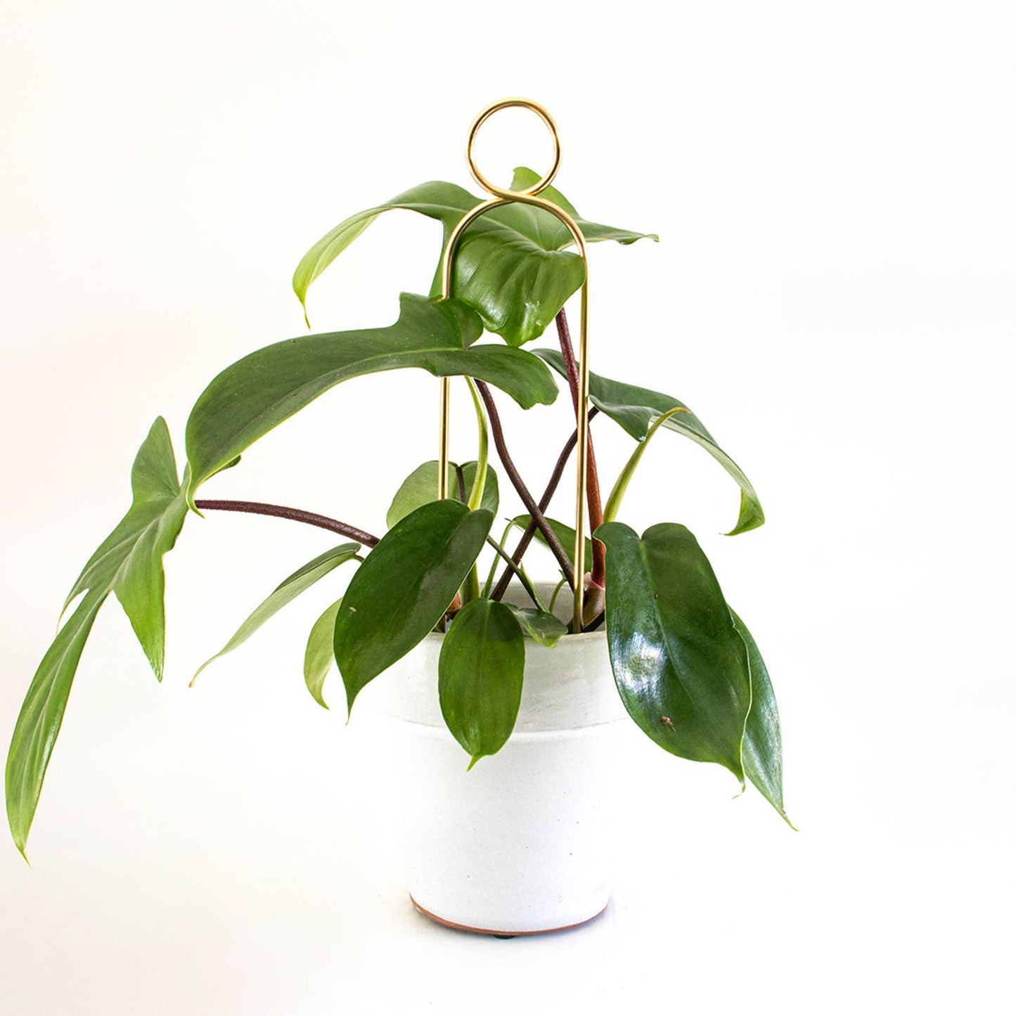 Mini Plant Stake from rust-proof metal - Pompom - Gold