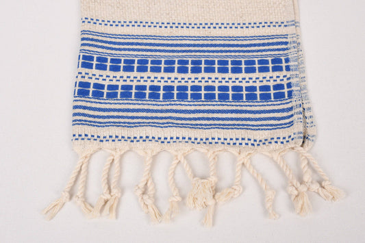 Turkish Hand Towels: Set of 2 (Blue loom)