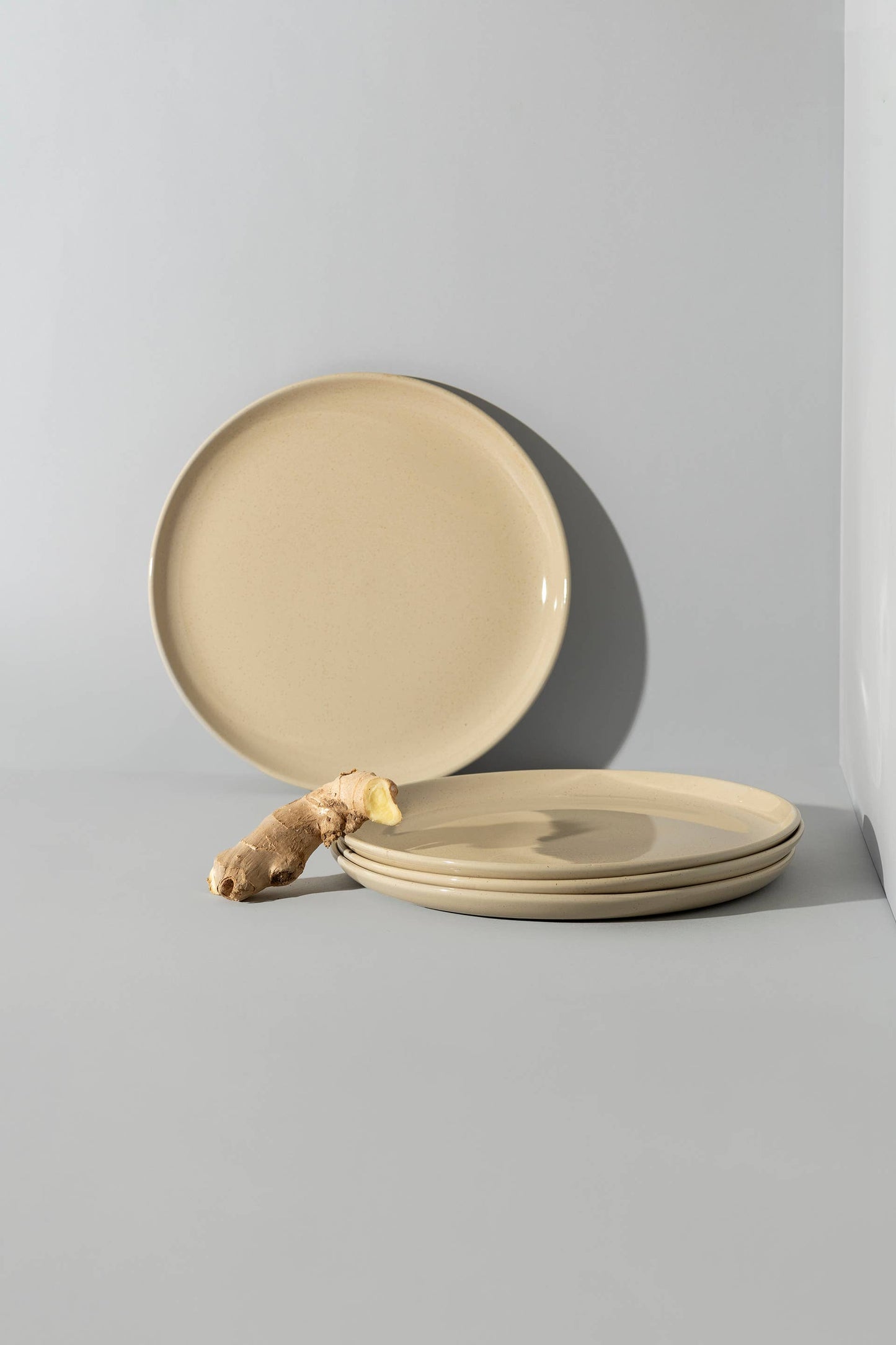 Set of 4: Stoneware Flat Dinner Plate | Edan 11.2"