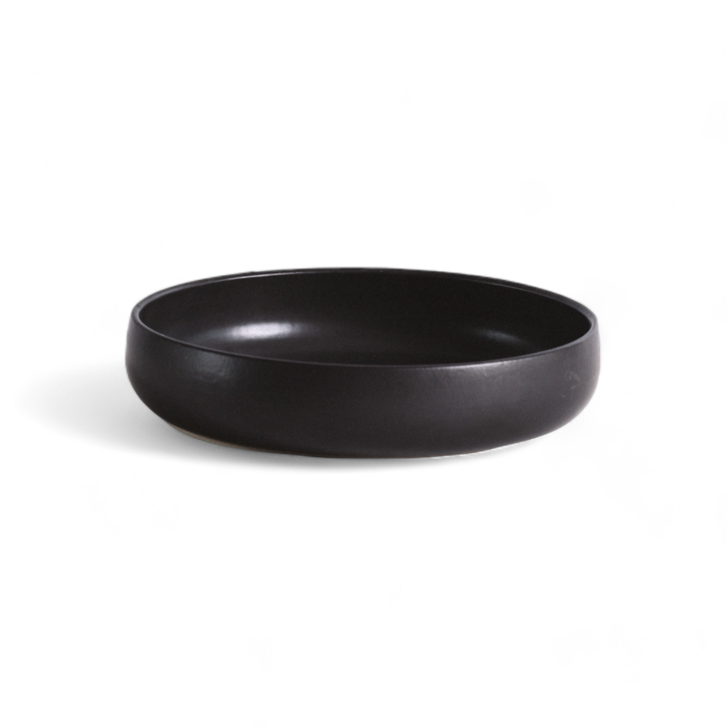 Set of 4: Stoneware Pasta/Salad Plate
