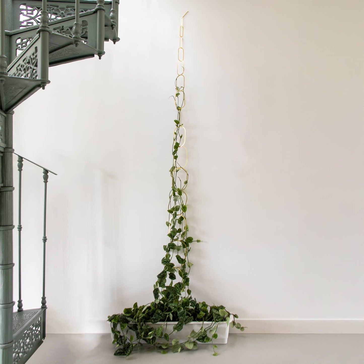 Gold Brass Chain - Plant Support for climbing plants