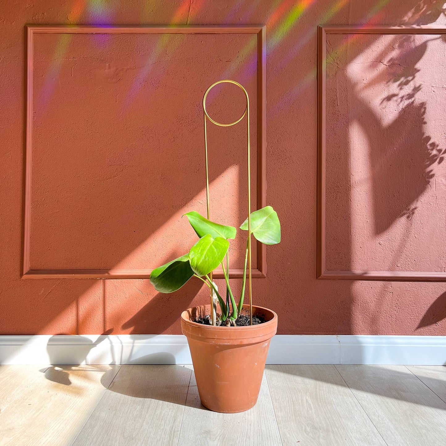 Golden plant stake from metal - Pin
