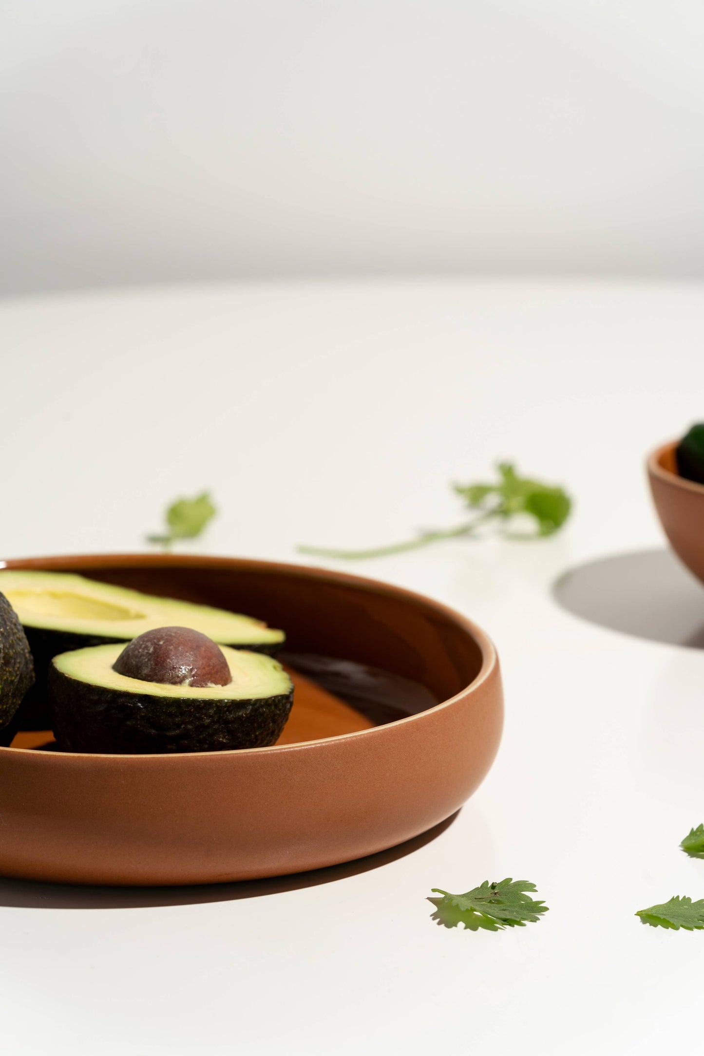 Set of 4: Stoneware Pasta/Salad Plate