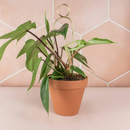 Mini Plant Stake from rust-proof metal - Pompom - Gold