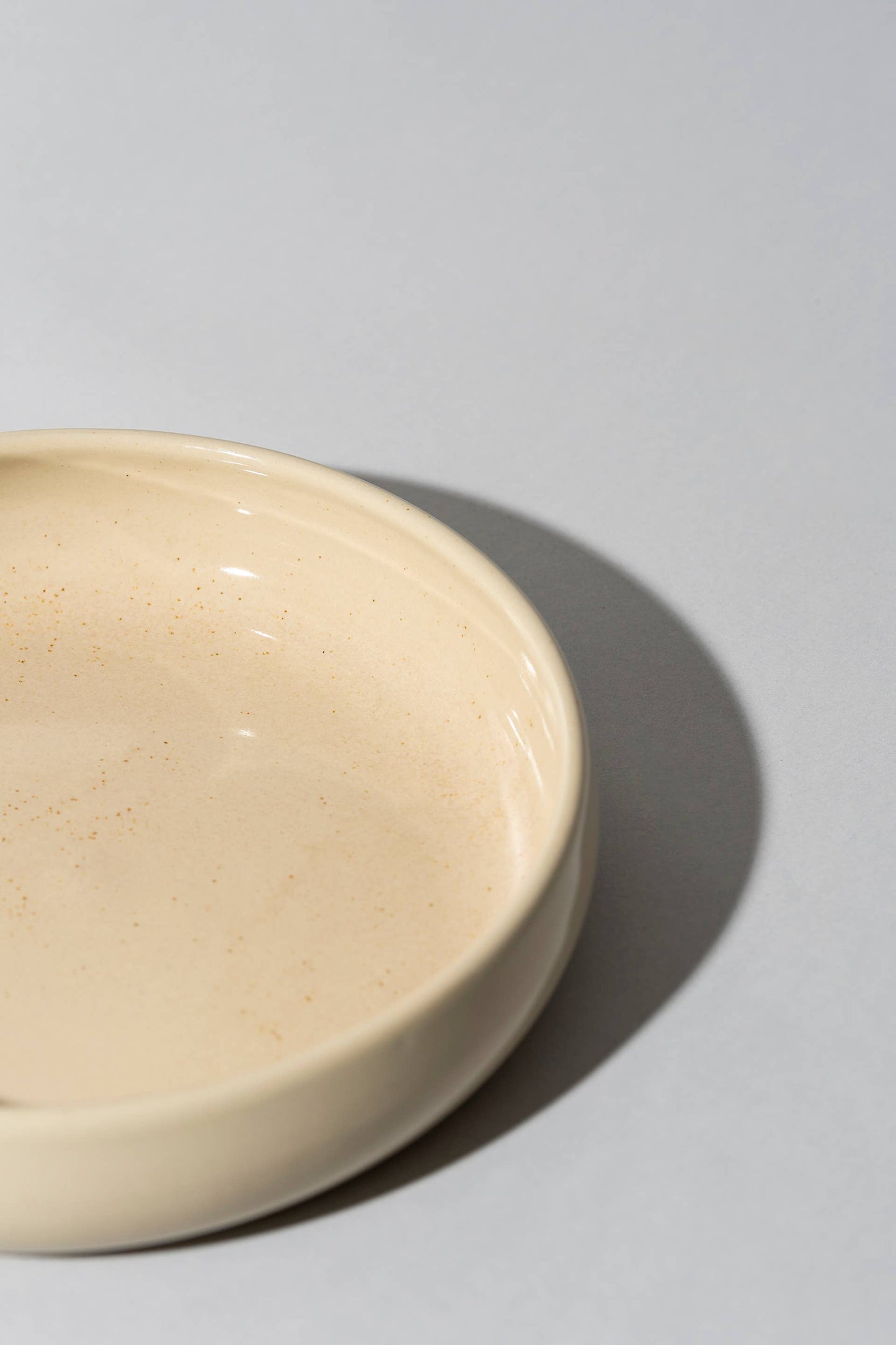 Set of 4: Stoneware Pasta/Salad Plate