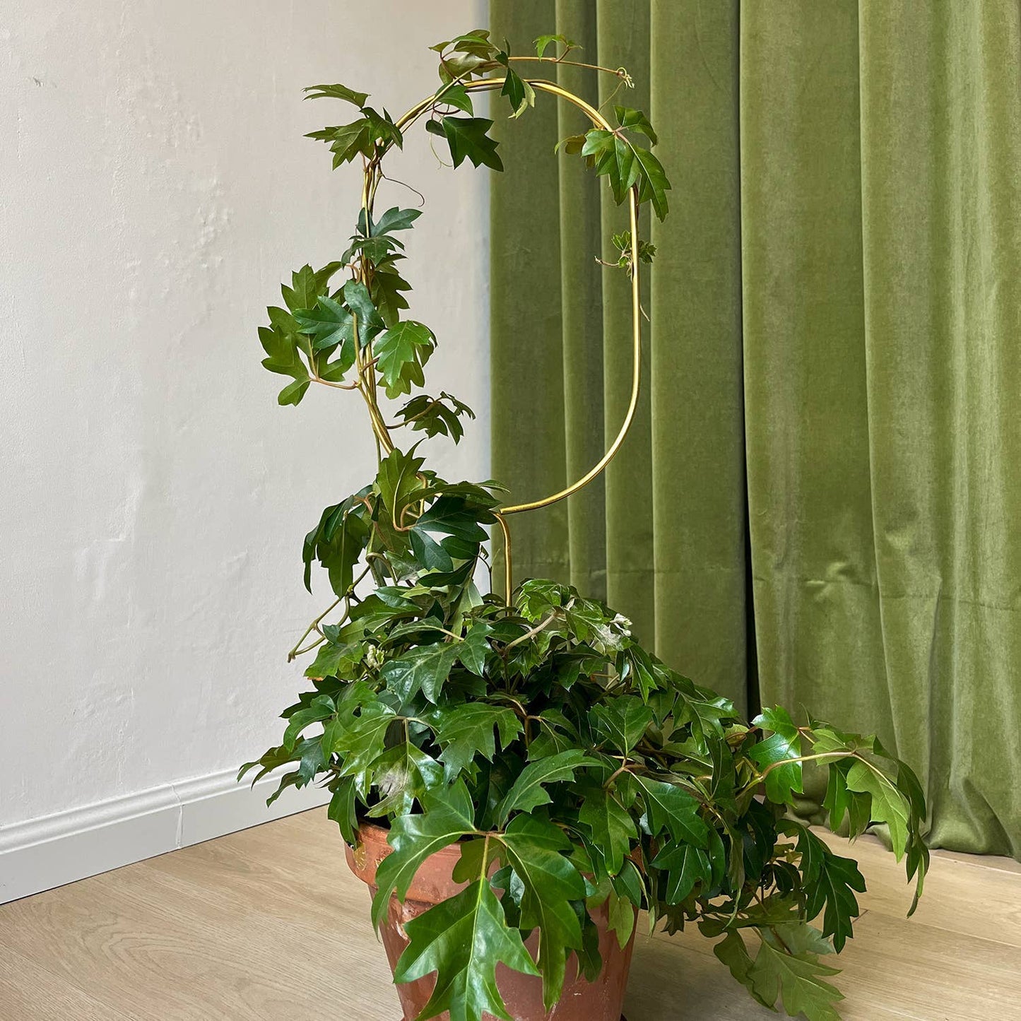 Golden plant stake from metal – Arch