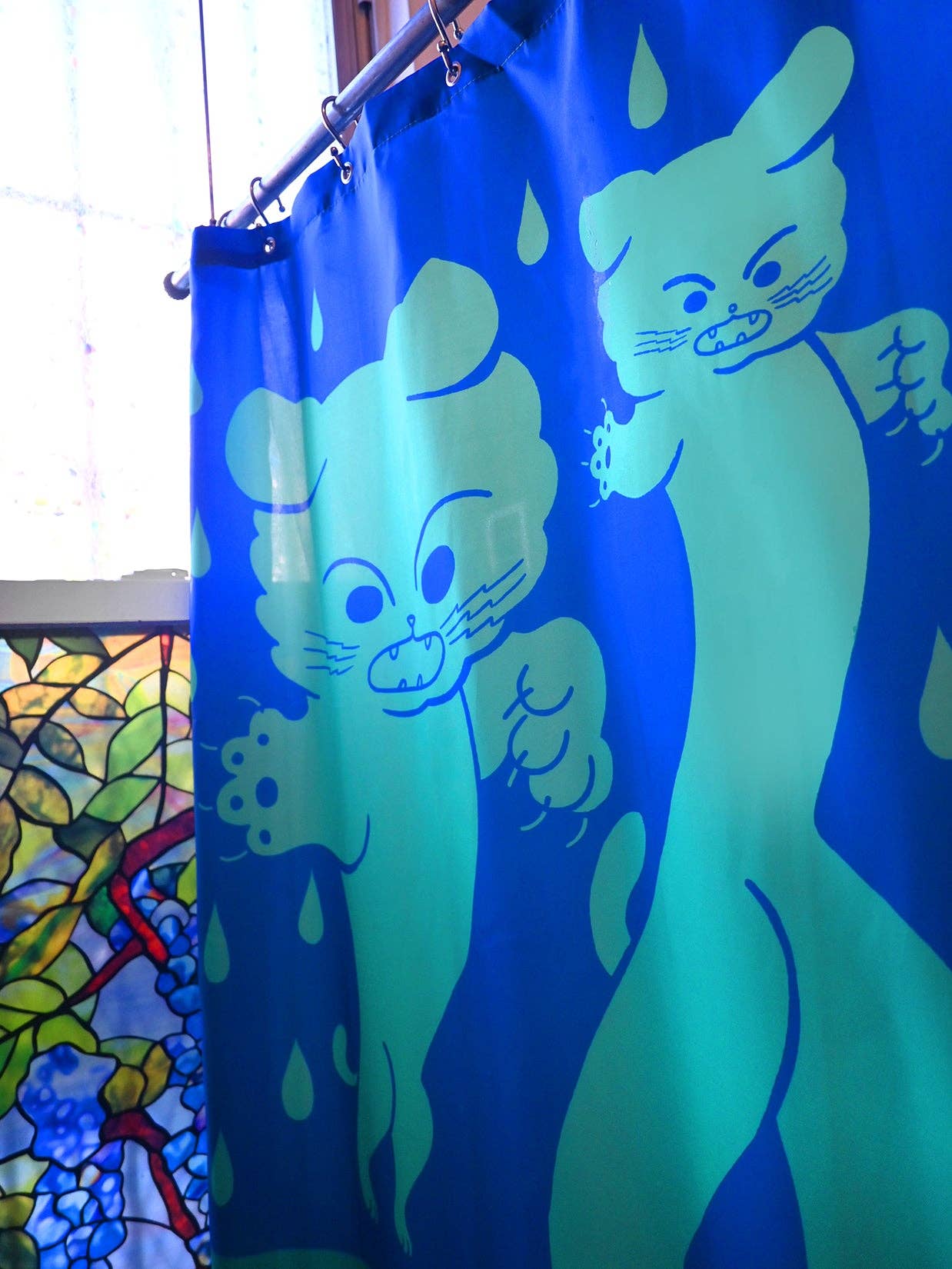 Dry Cats Shower Curtain